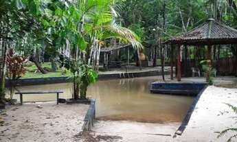 Imagem 7: Vendo Sítio em Santa Barbara (Aceita Carro como Parte do Pagamento