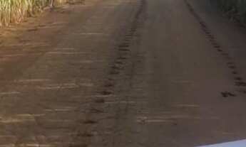 Imagem 4: Fazenda Agrícola de 240 alqueires em Caiapônia/GO