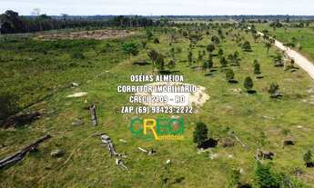 Imagem 5: 23.6 Alqueires Machadinho-RO