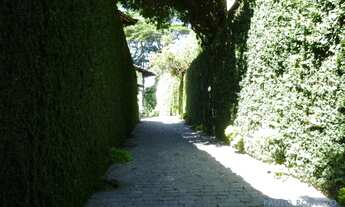 Imagem 3: CASA TÉRREA - MORUMBI - SP