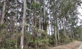 Imagem 2: L33- Barbada do ano !!!!!Excelente Terreno em Rio do Campo/SC