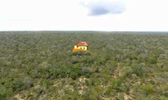Imagem: Fazenda para Venda em Luzinópolis, Vale