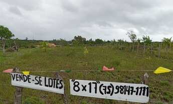 Imagem 3: Lotes em barreiras de jacuruna