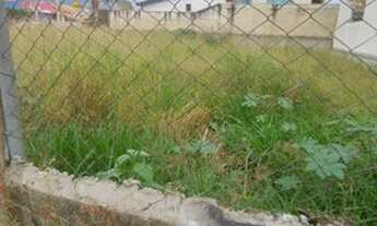 Imagem 2: Terreno Wanel 300 metros