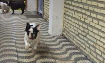 Imagem 7: CASA RESIDENCIAL em CAMAÇARI - BA, JAUÁ (ABRANTES