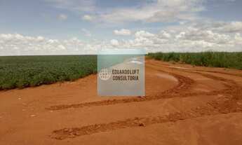 Imagem 4: Fazenda 5.525 hectares em Mineiros - GO