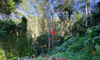 Imagem 4: Terreno à venda, 2400 m² por R$ 350.000,00 - Mury - Nova Friburgo/RJ