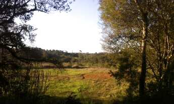 Imagem: Área industrial à venda