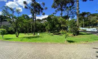 Imagem: VENHA MORAR NO ALTOS PINHEIROS