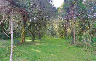 Imagem 6: Chácara com 7 dormitórios, 72600 m² - venda por R$ 2.800.000,00 ou aluguel por R$ 15.000,0