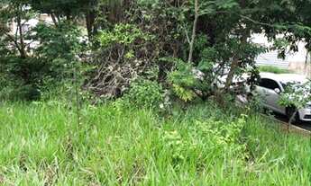 Imagem 2: Lote com patamar inicial plano, vista deslumbrante, 1.300m2