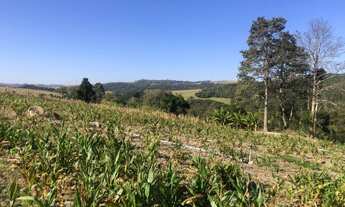 Imagem 5: Sítio 13 Alqueires, 2 casas, galpão, rico em água, divisa rio, com escritura e registro