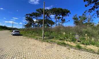 Imagem 6: CAXIAS DO SUL - Terreno Padrão - Século XX