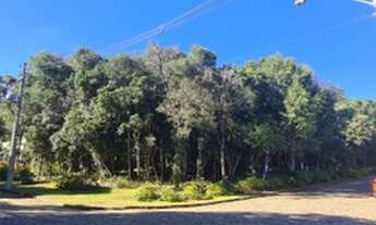 Imagem 2: CAXIAS DO SUL - Terreno Padrão - Ana Rech