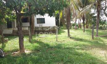 Imagem 4: Fazenda à venda no município de Nossa Senhora do Livramento-MT