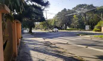 Imagem 4: Porto Alegre - Terreno Padrão - Vila Ipiranga