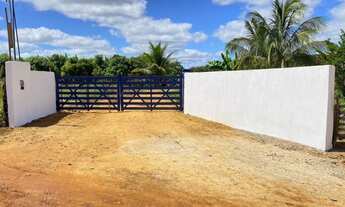 Imagem: AREA PRODUTIVA EM MANIÇOBA DISTRITO DE