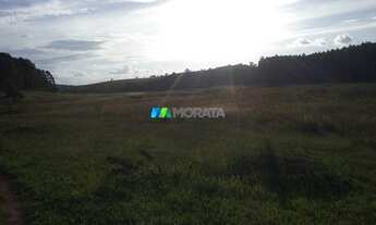 Imagem 5: OLIVEIRA - Fazenda - Zona Rural