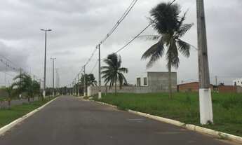 Imagem 3: Lotes No Bairro Planjado Nova Manaus
