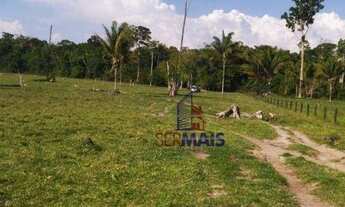 Imagem 4: Sítio à venda, por R$ 4.080.000 - Zona Rural - Machadinho D'Oeste/RO