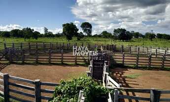 Imagem 3: Fazenda à venda, Rural, Rio Negro, MS