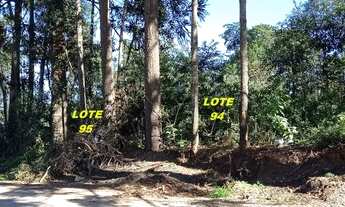 Imagem 5: Lote/Terreno para venda possui 455 metros quadrados em Jardim dos Estados 1 - Piraquara