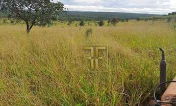 Imagem 6: Fazenda 2.700 Hectares, Paranatinga, MT