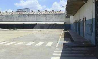 Imagem 4: Barracão - Amarais - Campinas