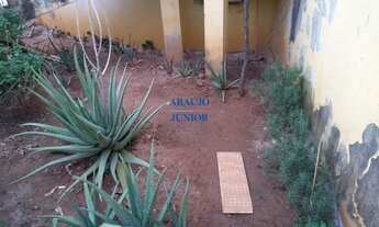 Imagem 7: AMERICANA - Casa Padrão - JARDIM BOER I