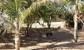 Imagem 6: Chácara de 2 hectares Toda Formada. Localizado no Santo Antônio do Descoberto