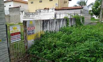 Imagem 6: EXELENTE Terreno