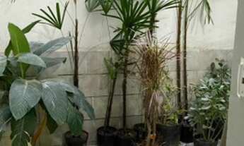 Imagem 3: Comercial - Mogi das Cruzes