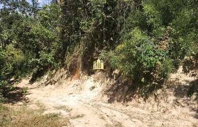 Imagem 4: Lote no bairro Cidade Jardim - Esmeraldas