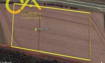 Imagem 2: ÁREA INDUSTRIAL À VENDA, BETEL, PAULÍNIA