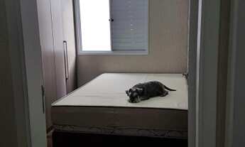 Imagem 6: Apartamento para venda reformado e semi-mobiliado com 2 quartos