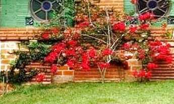 Imagem 3: Fazenda/Sítio/Chácara para venda com 7200 metros quadrados com 3 quartos