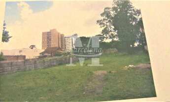 Imagem 3: Terreno Estrutural, Capão Raso com boa testada Duas frentes