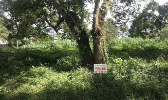 Imagem 4: Terreno à venda, 740 m² por R$ 230.000,00 - Pinheiros Tênis Village - Cotia/SP