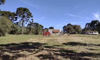 Imagem 5: Terreno à venda, 690 m² por R$ 170.000,00 - Bateias - Campo Largo/PR