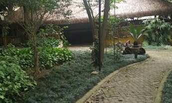 Imagem 3: APARTAMENTO - VILA MASCOTE - SP