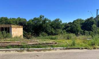 Imagem: CAXIAS DO SUL - Terreno Padrão - Monte