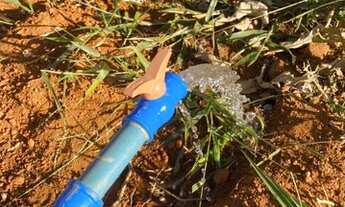 Imagem 2: Lote Ponte Alta Norte