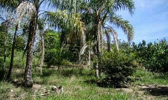 Imagem 5: Chácara Bolsão de segurança