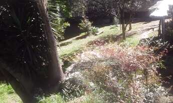 Imagem 2: CAXIAS DO SUL - Terreno Padrão - Vila Verde