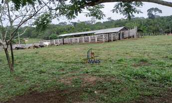 Imagem 2: Fazenda à venda, por R$ 15.000.000 - Zona Rural - Porto Velho/RO
