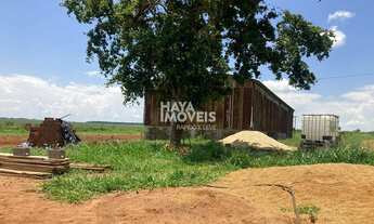 Imagem 4: Fazenda à venda, Rural, Ribas do Rio Pardo, MS