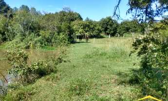 Imagem 5: Fazenda/Sítio/Chácara para venda tem 5643 metros quadrados em Lomba Grande - Novo Hamburgo