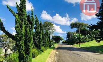 Imagem 4: Casa com 4 dormitórios à venda, 800 m² por R$ 3.800.000,00 - Condomínio Jardim das Palmeir