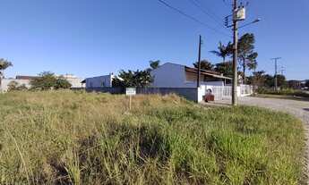 Imagem: 1987 Excelente Terreno no Bairro Salinas