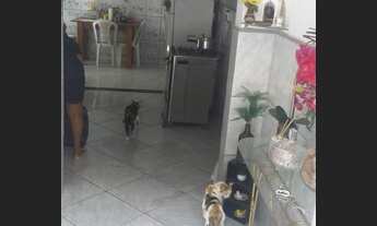 Imagem 5: Go Up imóveis vende: Casa em Vila na Sacramenta